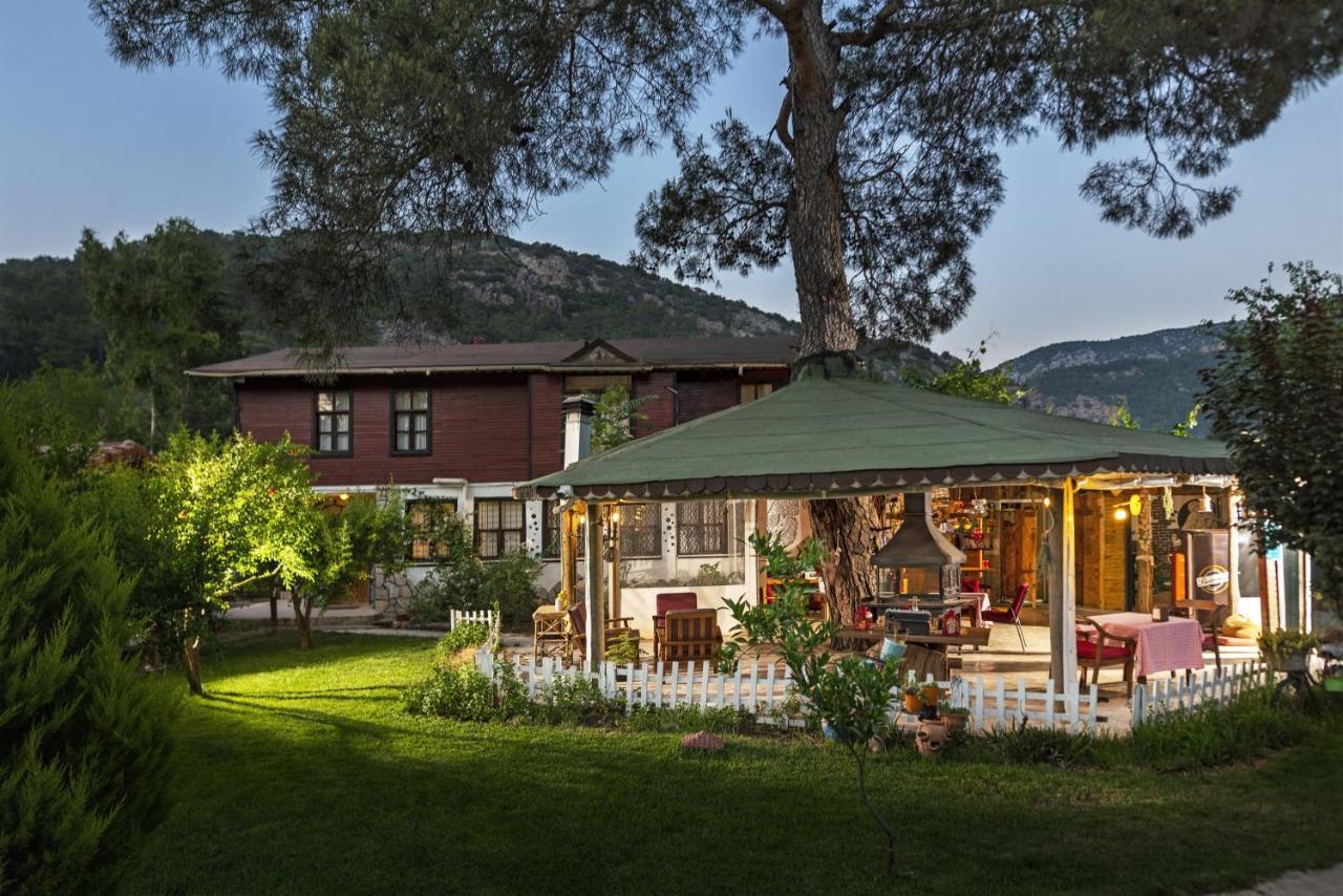 Koala Bungalows Олимпос Экстерьер фото