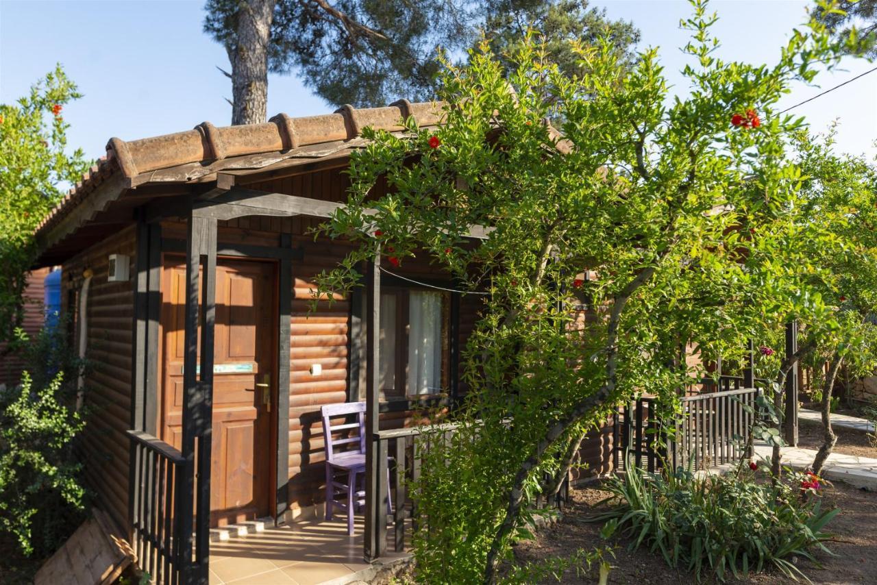 Koala Bungalows Олимпос Экстерьер фото