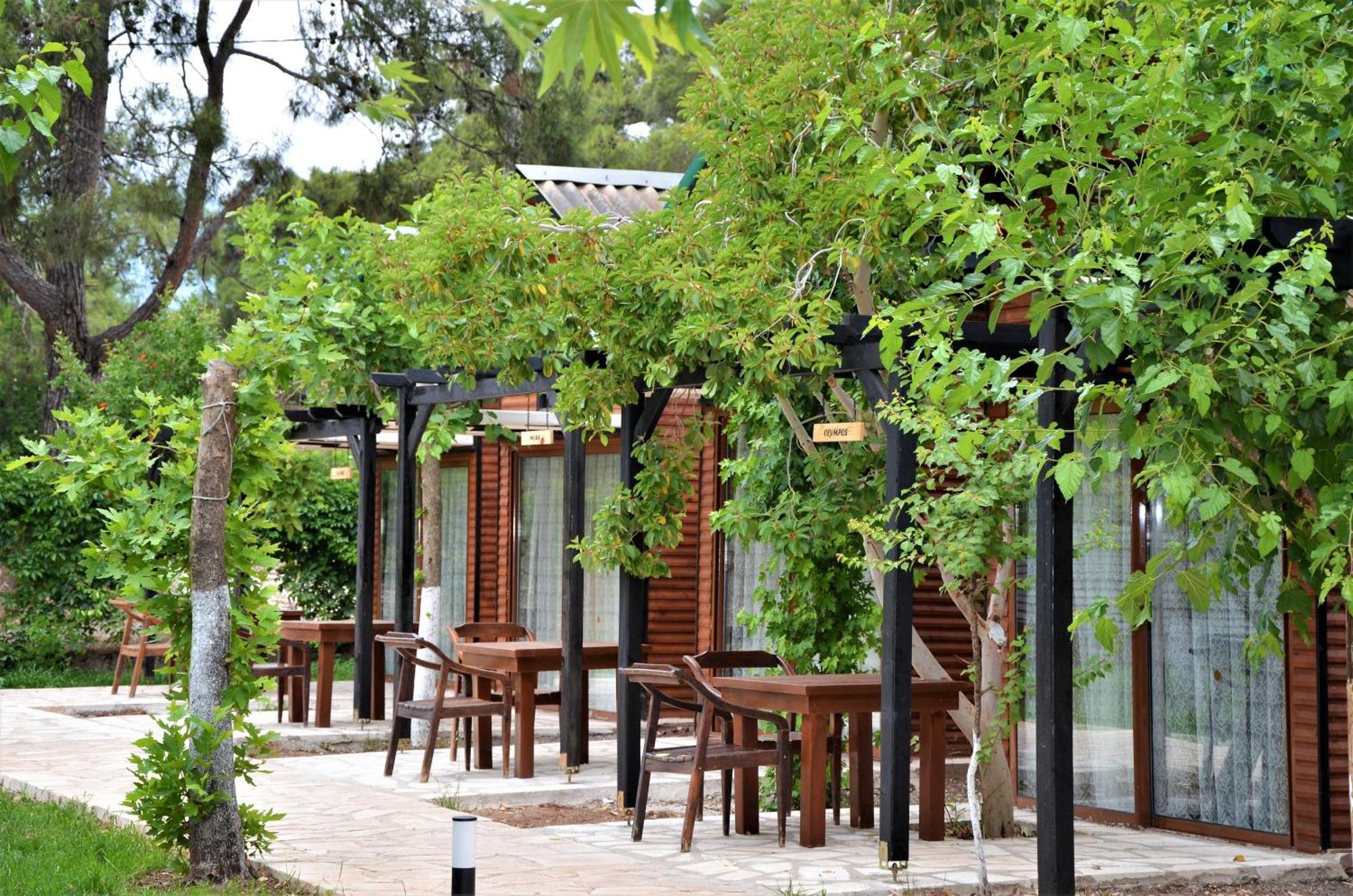 Koala Bungalows Олимпос Экстерьер фото